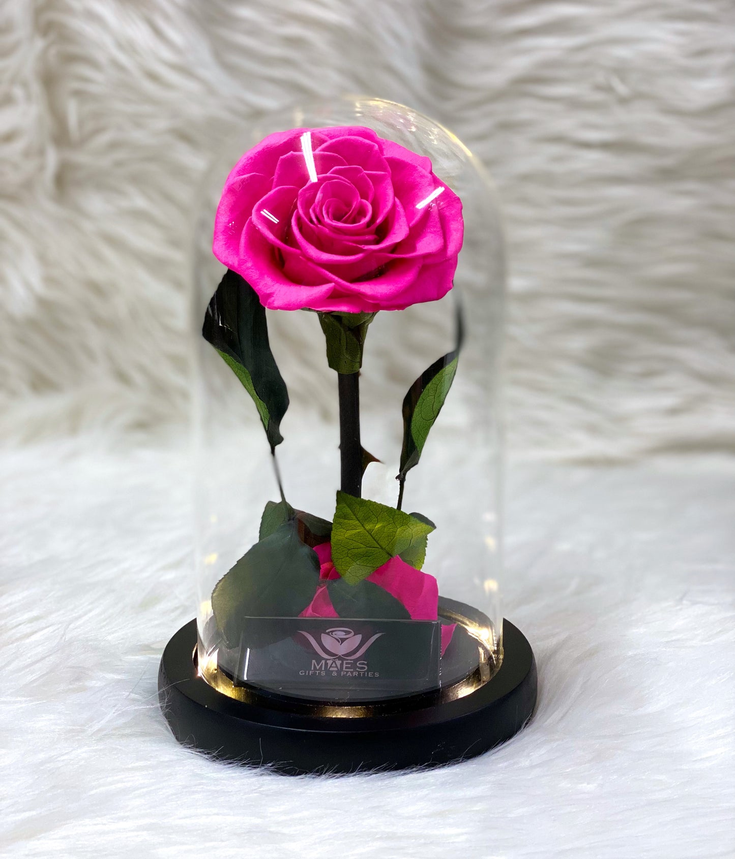 Single Preserved Rose -Tall | Fucsia