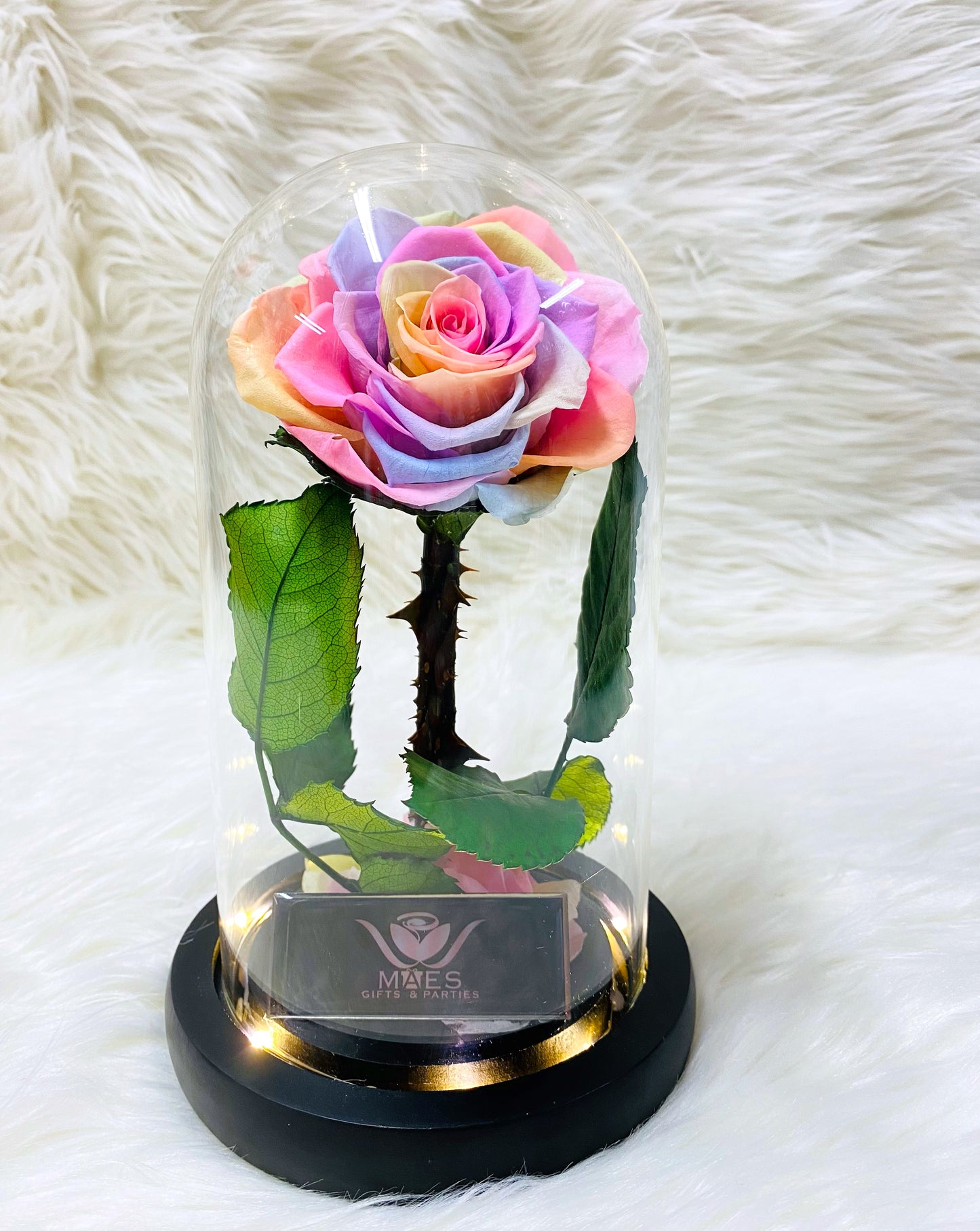 Single Preserved Rose -Tall | Rainbow