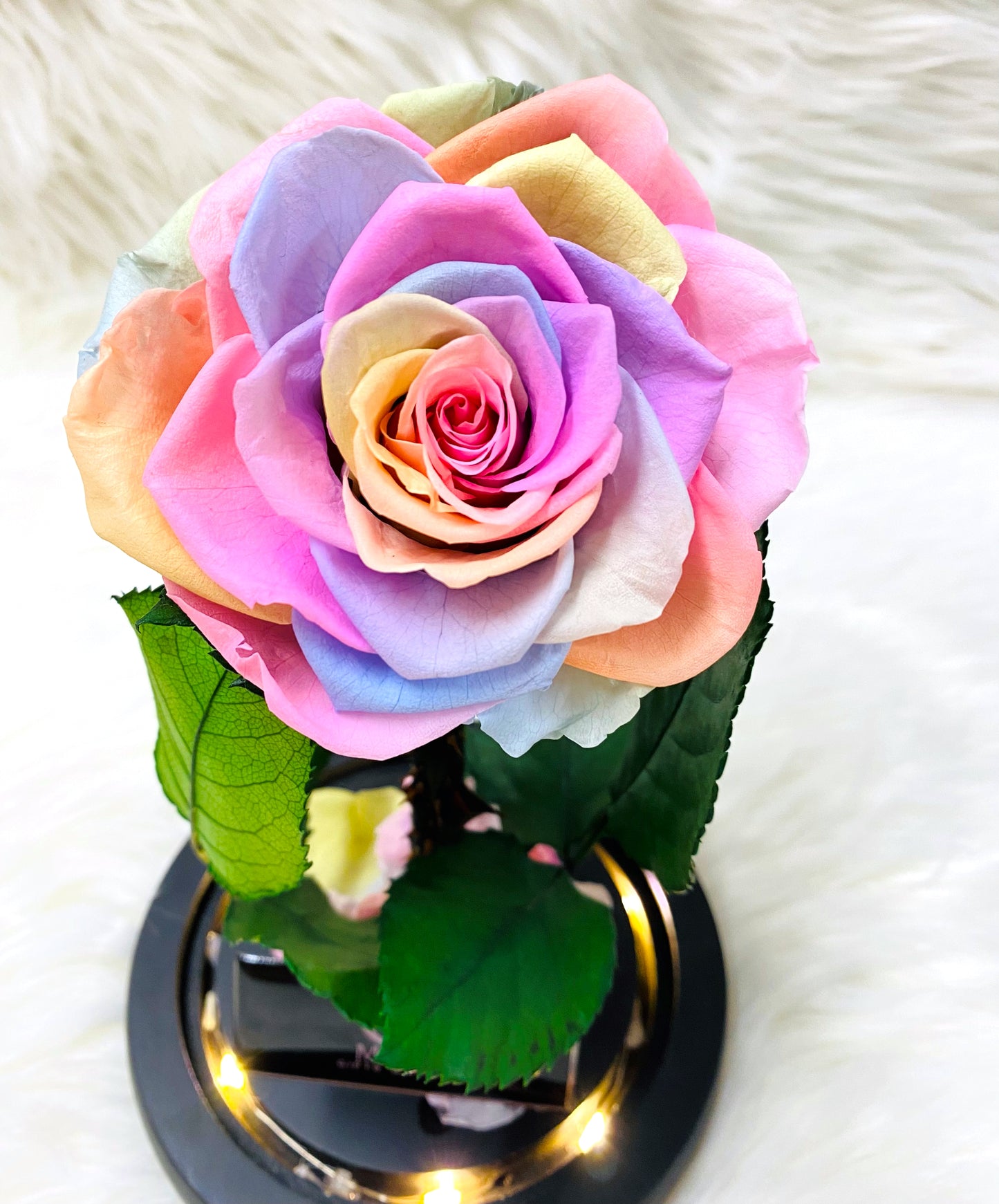 Single Preserved Rose -Tall | Rainbow