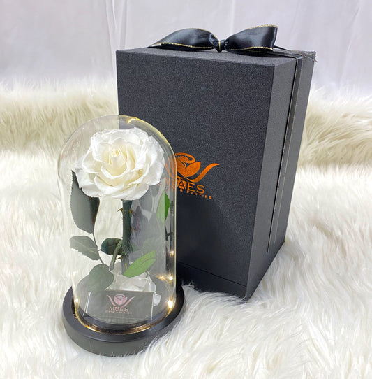 Single Preserved Rose -Tall | White