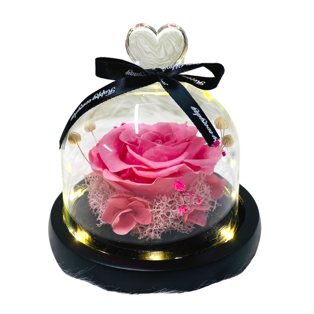 Single Preserved Rose - Small | Pink