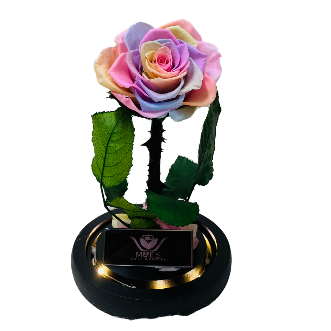 Single Preserved Rose -Tall | Rainbow